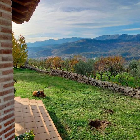 La Cirujana De Gredos Villa San Esteban Del Valle ภายนอก รูปภาพ