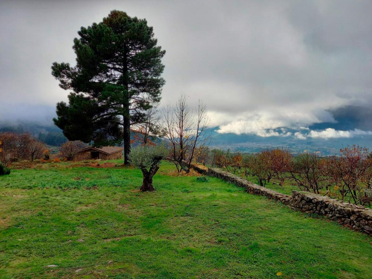 La Cirujana De Gredos Villa San Esteban Del Valle ภายนอก รูปภาพ